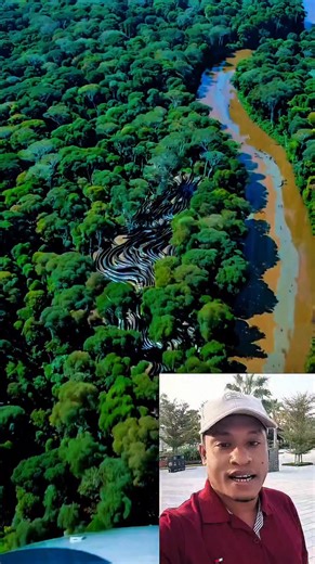 Abul Kalam on Instagram: "কি ভয়ংকর কতগুলা সাপ একসাথে। #virals #reelsfypシ #StarSender #love #Amazing #AI #dubai #Abulkalam"