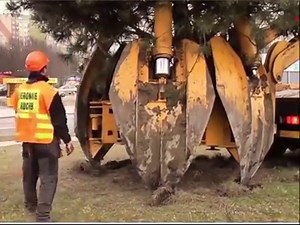 7.3M views · 11K reactions | Digging a tree is easy | Bhoomi Shetty | Facebook