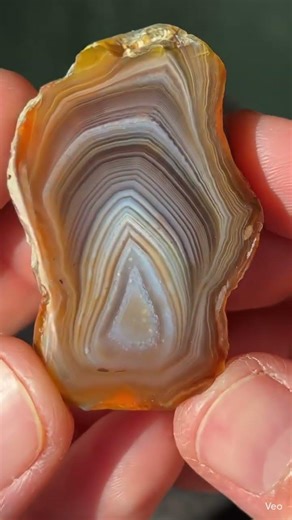 A cut/polished Lake Superior agate!