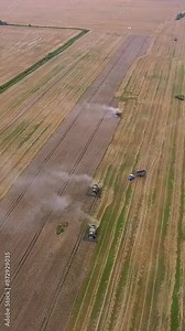 Vertical video. Aerial view. Agriculture landscape. The combines harvesters harvests ripe wheat. A tractor with a trailer is loaded with grain.Agricultural machinery working in the field.