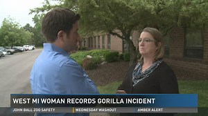 Woman who took gorilla video: People 'know nothing' about incident