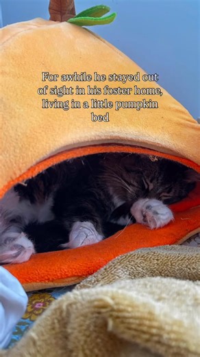 2.2K views · 98 reactions | There’s always a lot happening here! We...