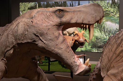 Permian Monsters: Life Before the Dinosaurs