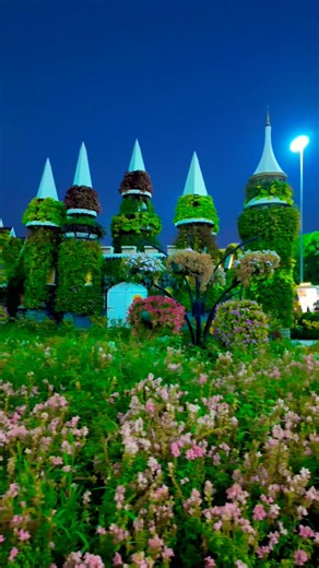 🌸🌈 Lost in a Sea of Blossoms | Dubai Miracle Garden 4K Walk #dubai #trending #photography #song #dxb