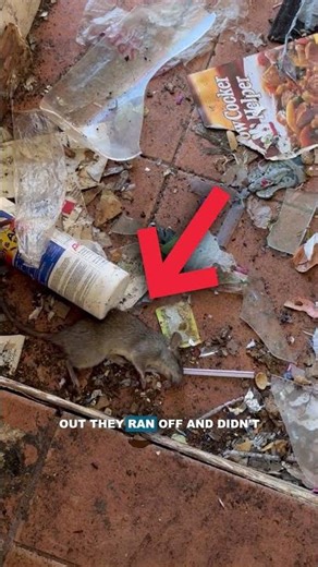 The Most Disgusting Flip I’ve Ever Walked Into…