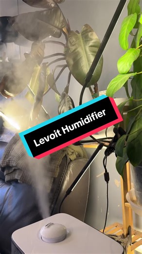 The @Levoit_official 300S humidifier is going to help your plants not get crispy this winter! #newyearnewme #tiktokshopjumpstartsale #planttok #planttips #plantcare