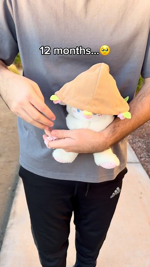 7.9K views · 37 reactions | Isn't cute? 凉 #gifts #couples #flowers #love #blossomplushies | Blossom Plushies | Facebook