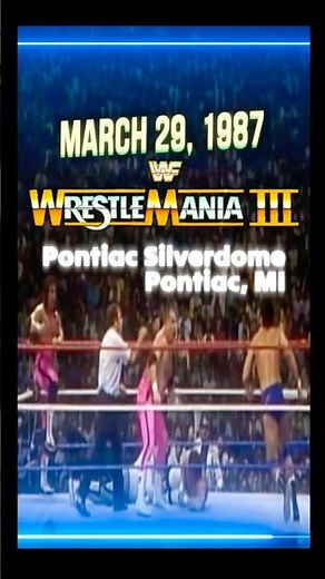 RIP Hulk Hogan British Bulldogs vs Hart Foundation