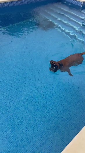 N A T S U sur TikTok