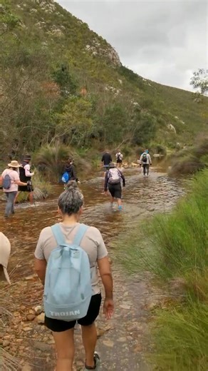 More highlights from our incredible dam hike yesterday! #portelizabeth #fyp #nature #hiking | Let's go hiking