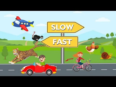 Fast and slow/Fast and slow concept for Kindergarten||pre number concept for preschooler