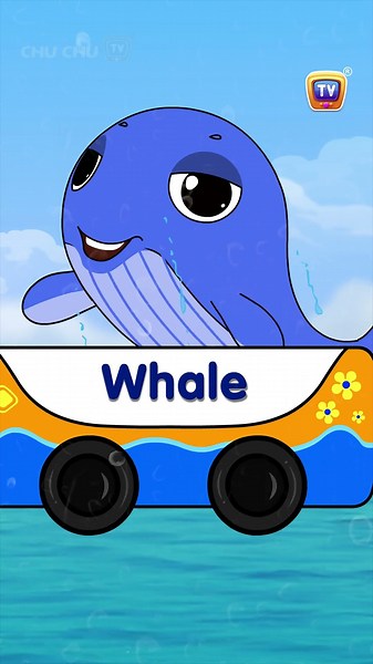 ABC Animal Train Phonics Song -Part6 #BabyTaku #Shorts #ChuChuTV #NurseryRhymes #KidsSongs #Animals