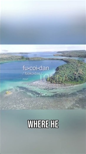Seaweed Secret The Amazing Health Benefits of Fucoidan Discovered!