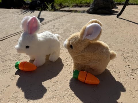 Meet the Bunny That Hops, Wiggles, and Steals Hearts (HOTKSOFT Easter Bunny Toy, Rabbit Interactive
