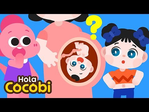 ¿Por Qué Tenemos Ombligo?😲 Mi Gran Ombligo | Canciones Infantiles | Kids Songs | Hola Cocobi