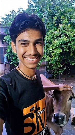 How to Start a Successful Cow Farming Business Today