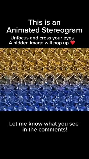 Amazing Animated Stereogram Illusion