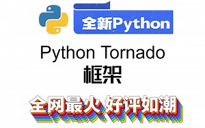 Python Tornado框架10天速成（2021全新合集）Python入门+数据可视化