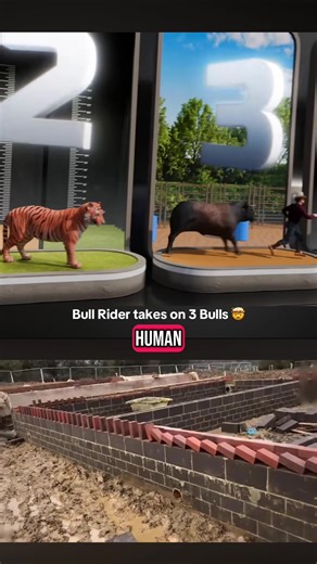 Mr Beast's Thrilling Bull Challenge: Humans vs Animals