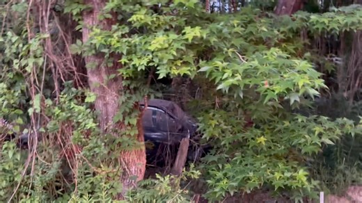 Kia of Meridian Traffc Alrrt Accident with possible injuries in 8000 Block of Okatibbee Dam Road. LCSO, VFD, LEMA, Meteo are on Scene . Power lines are down , at least one person is in the truck. | Scotty Ray Report