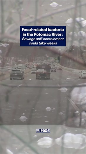 You can smell it before you see it... 🤢 Raw sewage continues to spill into the Potomac River due to a ruptured sewer line. D.C. Water says repairs could take another six weeks, and environmental groups are warning the public of the growing health risks.