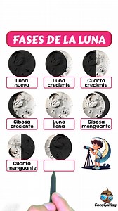 828K views · 7.4K reactions | Aprende las fases de la luna | Coco Go Play | Facebook