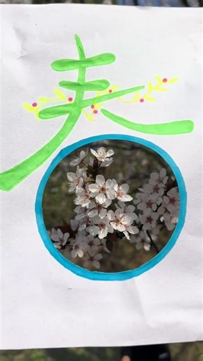 Blossoming Beauty: Spring in Full Swing