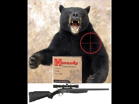 CVA .44 Mag "Bear Rifle" Range Day