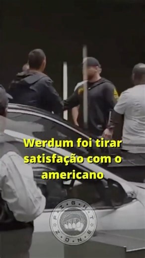 How could Werdum defend Brazil and still be fined US$600?