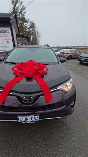 2017 Toyota RAV4 XLE | Just Delivered | Full 360 Walkaround