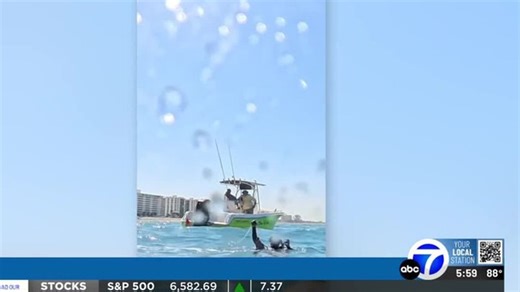 WWSB ABC7 News at 6:00pm - Divers dragged by boat off Venice Beach | Haystack News