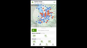 Finding birds on the go is about to get easier with the new eBird Mobile Explore Species! Search for a species you want to see and find out where to go looking. Coming soon to your mobile device. | eBird