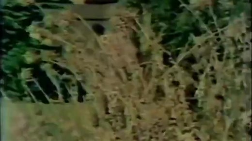 A 1979 documentary about mind control. Aired on ABCNEWS.