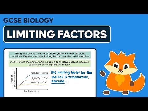 Photosynthesis Limiting Factors - GCSE Biology