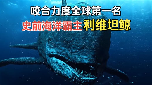 巨齿鲨见到它都要绕道走，这头鲸鱼，才是海洋真正的魔王#科普 #利维坦鲸