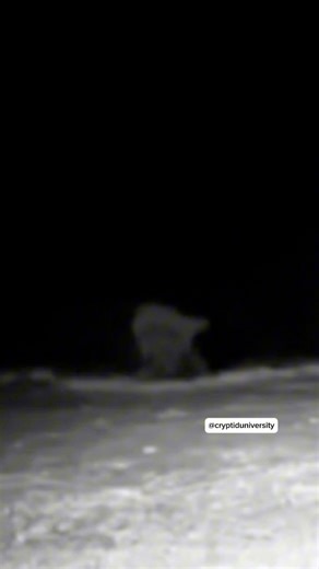 32K views · 745 reactions | A strange Cryptid looking creature was captured on a trail camera in the Appalachian Mountains! | Cryptid University | Facebook