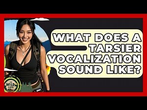 What Does A Tarsier Vocalization Sound Like? - The Wild Life Explorer