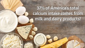 13 reactions | Calcium is the cornerstone of bone health and 37% of...