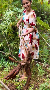 1.3M views · 40K reactions | Mouthwatering Manioc  Simple Yet So Tasty!  #viralvideoシ #cooking #viralrecipe #foodie #foryouシ #manioc | Cook with mawee | Facebook