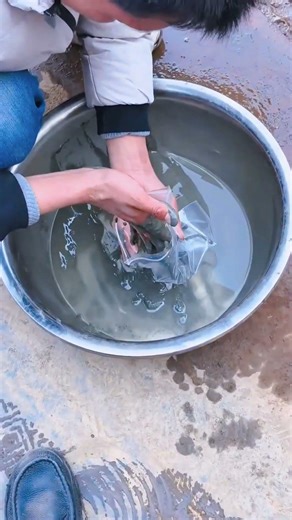 The jig uses the pulsation of water flow to separate ores according to density.