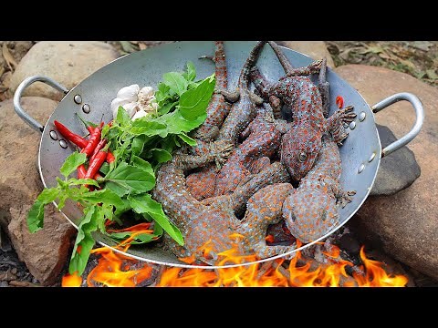Wilderness Life: Find catch n lots of Gecko in tree Cooking Gecko Fried Eating extremely delicious