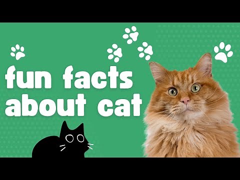 🐱 25 Fun Facts About Cats for Kids! 🐾 Learn Amazing Cat Facts!