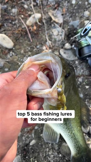 I stopped guessing the best lure colors for fall the day I read this guide by a pro angler. Fall bass fishing isn’t luck — it’s understanding water clarity, light conditions, and how bass react in cooler water. Want to catch more bass this fall? 👉 The full fishing lure guide is in the link in bio. #bassfishing #fallfishing #fishinglures #basslures #anglerlife fishingtips fishingreels kayakfishing catchmorebass fishingguide fishingknowledge