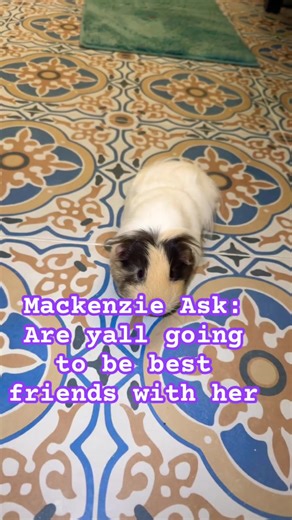 Who wanna be Mackenzie best friend | mackenzieziegler