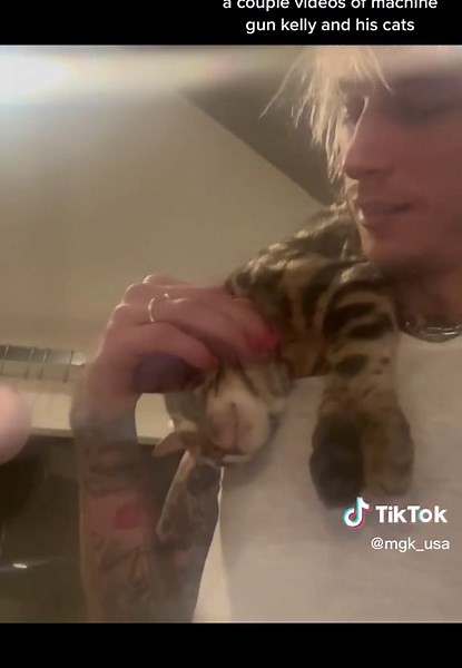 Machine Gun Kelly and His Adorable Cats | Fun Videos