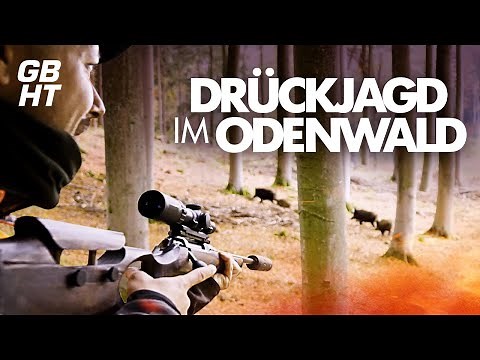 Germanys Boar Hunter Tour // DRÜCKJAGD im Odenwald: Folge 2 // Sauenjagd in Hessen