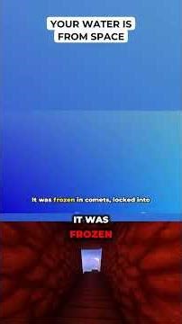 Your Water is From Space