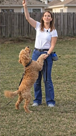 How to Teach Your Dog to Dance