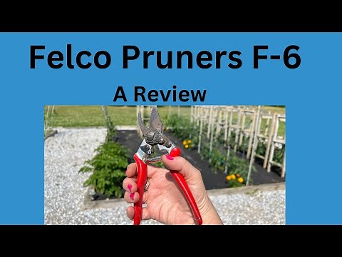 Best Hand Pruners for Small Hands? Felco 6