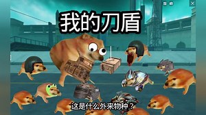 我的刀盾！